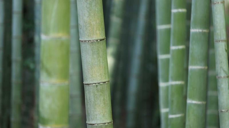 昏暗影院里的一排空座位